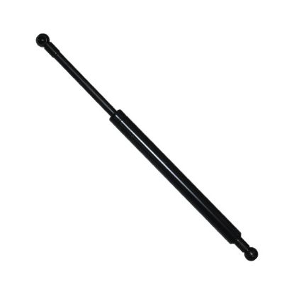 Immagine di GAS STRUT, BADY