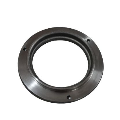 Immagine di BRAKE DISK PLEYT