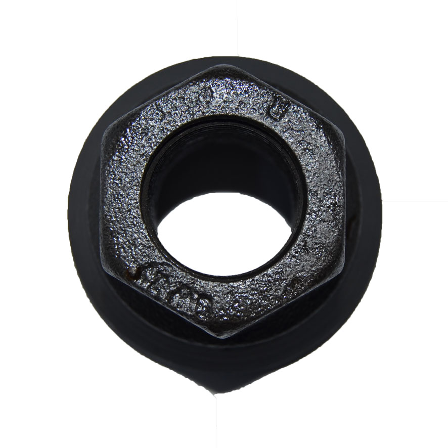 Immagine di NUT (W/COVER)