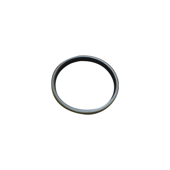 Immagine di SEAL 125X140X12