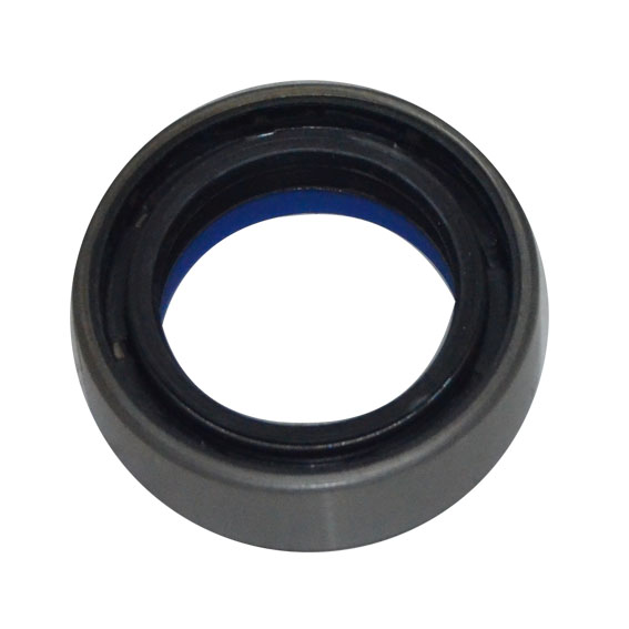 Immagine di SEAL 40x60x18,5