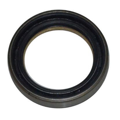 Immagine di SEAL 40x55x10