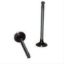 Immagine di ENGINE VALVE IN