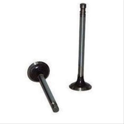 Immagine di ENGINE VALVE IN