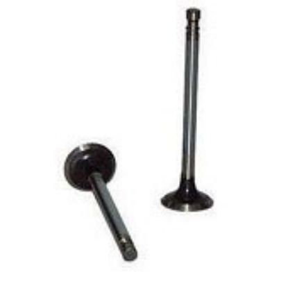 Immagine di ENGINE VALVE EX