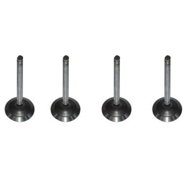 Immagine di ENGINE VALVE IN-05