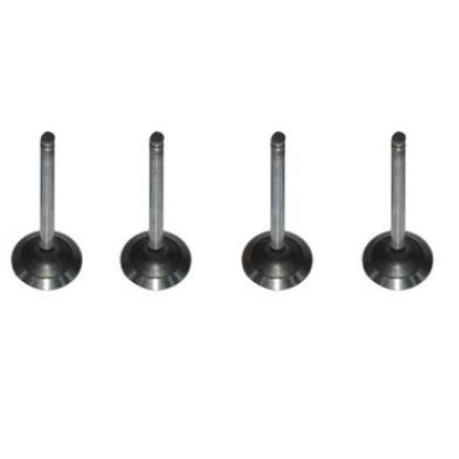 Immagine di ENGINE VALVE IN-05