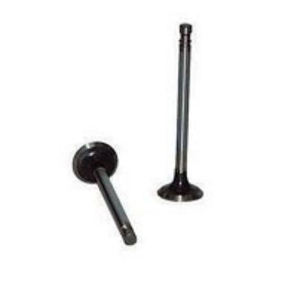 Immagine di ENGINE VALVE EX