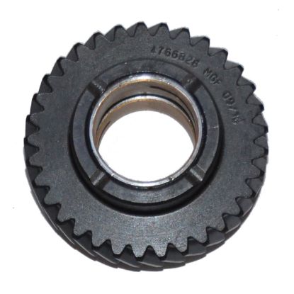 Immagine di PUMP GEAR Z=33 W/BUSH