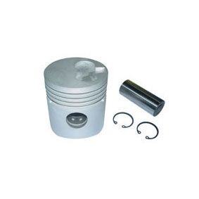 Immagine di PISTON PIN 85,00