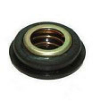 Immagine di SEAL, WATER PUMP