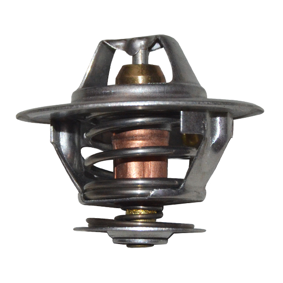 Immagine di THERMOSTAT 60 C