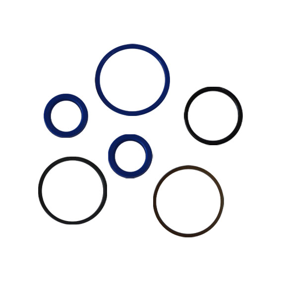 Immagine di REPAIR KIT-SERVO STEERING CYL