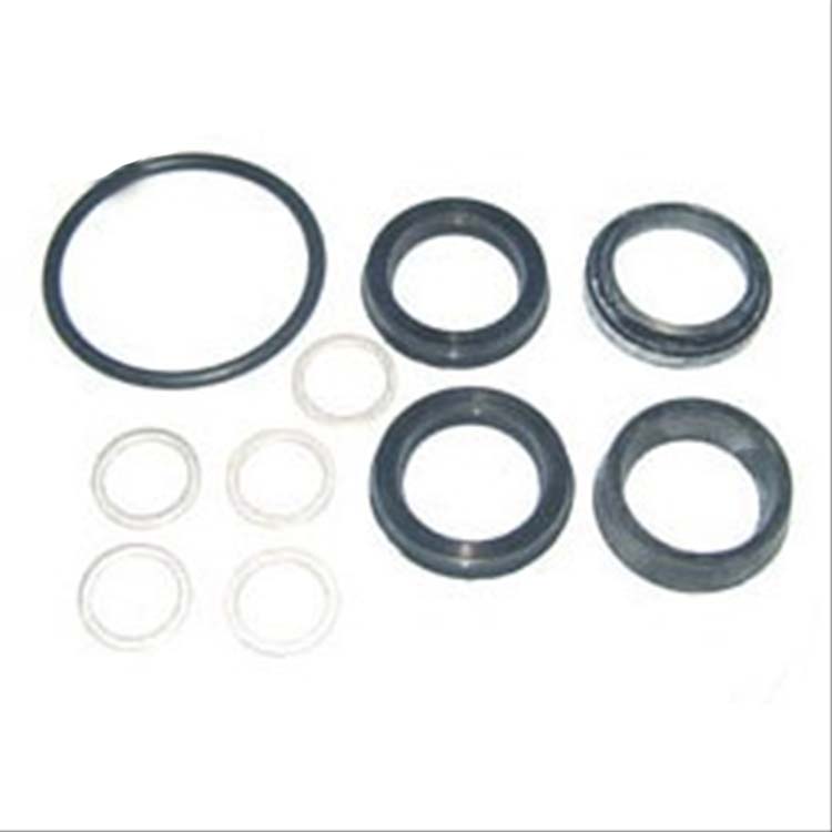 Immagine di REPAIR KIT-SERVO STEERING CYL