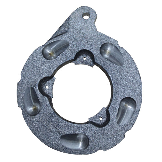 Immagine di BRAKE DISK PLEYT