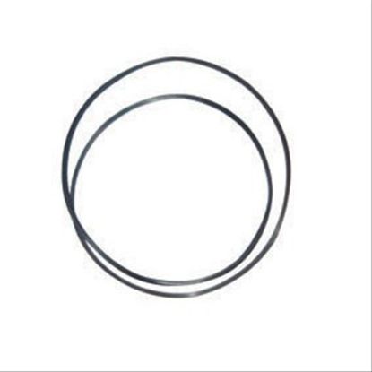 Immagine di GASKET W/VITON (BIG), BRAKE DISK