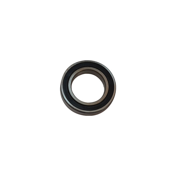Immagine di CLUTCH BEARING (6009-2RS)