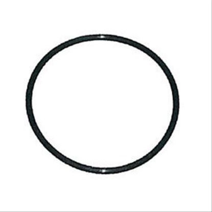 Immagine di O-RING, HYD.PISTON