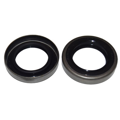 Immagine di SEAL 35x55x10