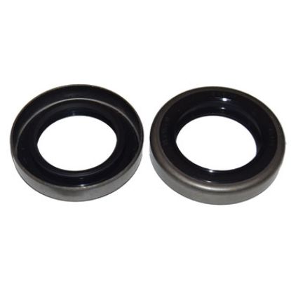 Immagine di SEAL 35x55x10