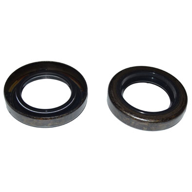 Immagine di SEAL 35x55x10