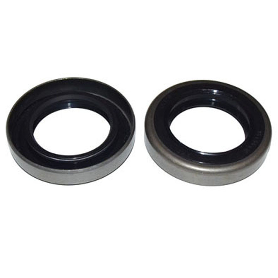 Immagine di SEAL 35x55x10