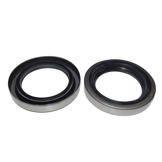 Immagine di SEAL 45x65x10