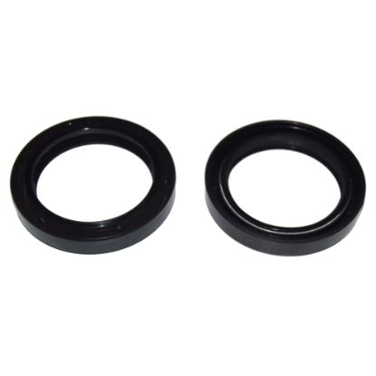 Immagine di SEAL 48x65x10