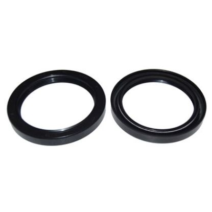 Immagine di SEAL 55x70x8