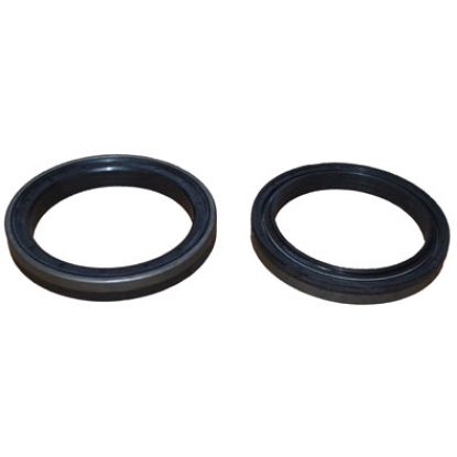 Immagine di SEAL 85x110x16