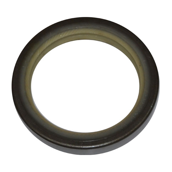 Immagine di SEAL 70x100x12