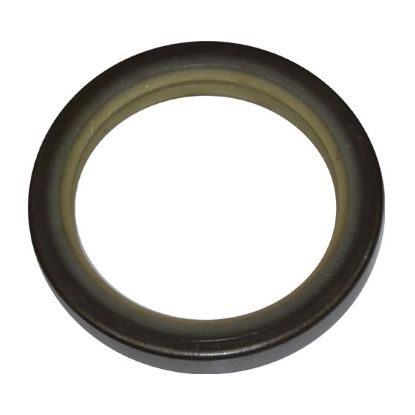 Immagine di SEAL 70x100x12