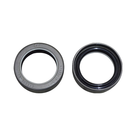 Immagine di SEAL 47x65x16,5