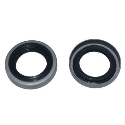 Immagine di SEAL 35x55x10