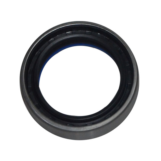 Immagine di SEAL 47x65x16,5