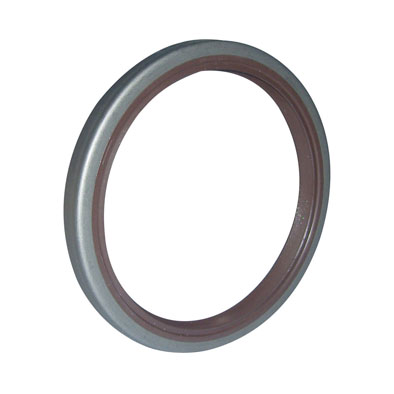 Immagine di SEAL 110x135x13