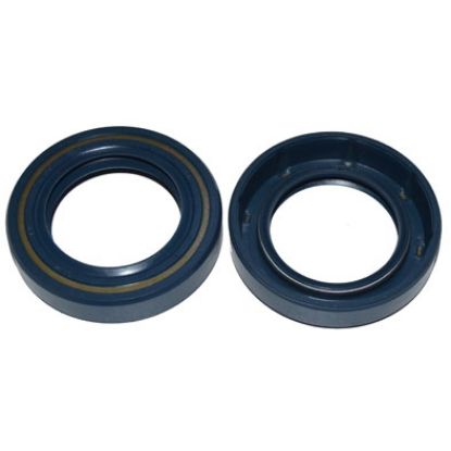 Immagine di SEAL 35x55x11