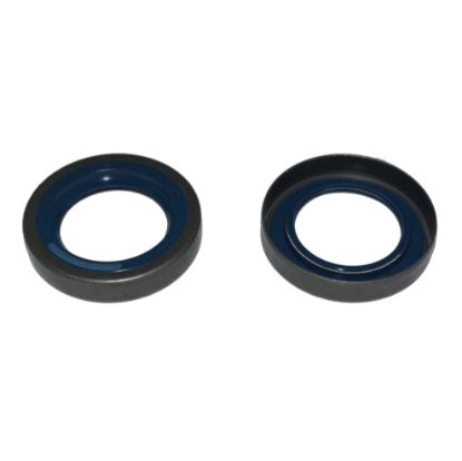 Immagine di SEAL 35x55x10