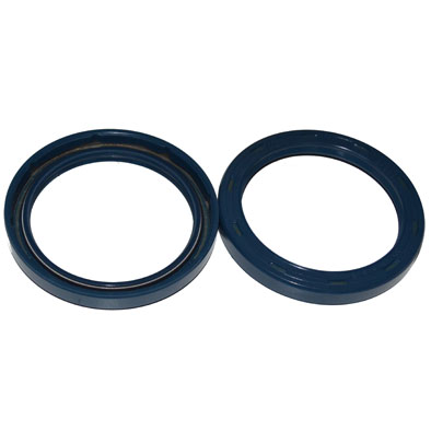 Immagine di SEAL 55x70x8