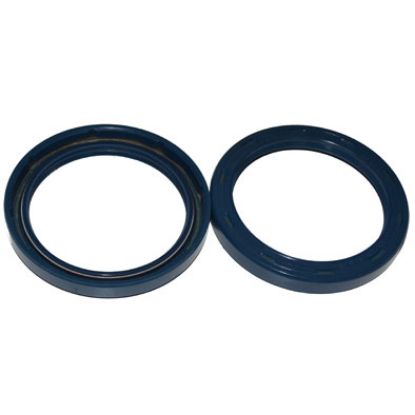 Immagine di SEAL 55x70x8