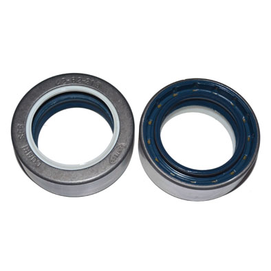 Immagine di SEAL 42x62x21,5 COMBI