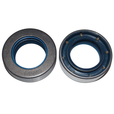 Immagine di SEAL 40x65x18,5 (COMBI)