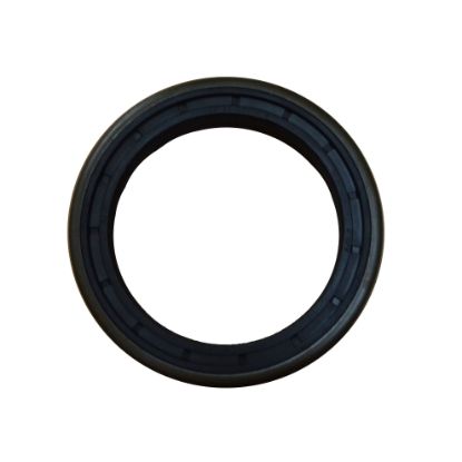 Immagine di SEAL 70x95x13/14 CASETTE