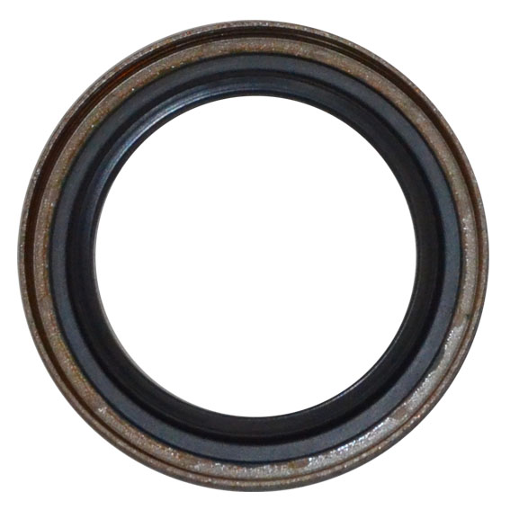 Immagine di SEAL 45x62x6.5/7