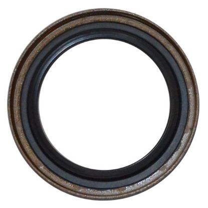 Immagine di SEAL 45x62x6.5/7