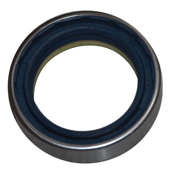 Immagine di SEAL 47x65x16,5 (COMBI)