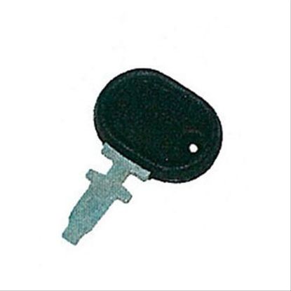 Immagine di KEY, STARTER SWITCH
