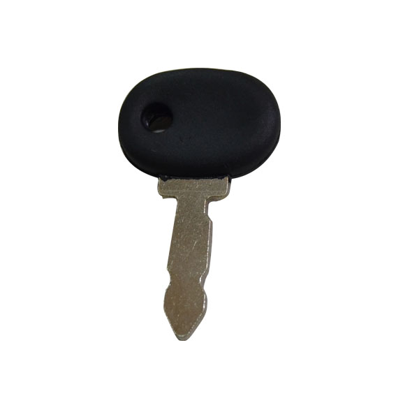 Immagine di KEY, STARTER SWITCH