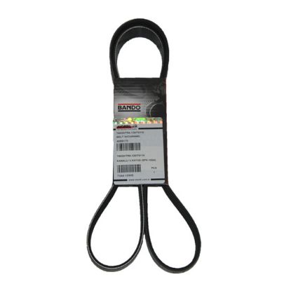 Immagine di BELT W/CHANNEL