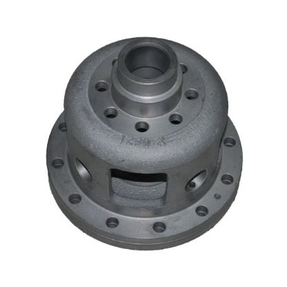 Immagine di DIFFERENTIAL GEAR BOX